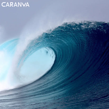 Reservas online para escuelas y tiendas de surf, sin cuota mensual