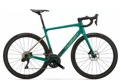 Noleggio bici da strada Malaga 